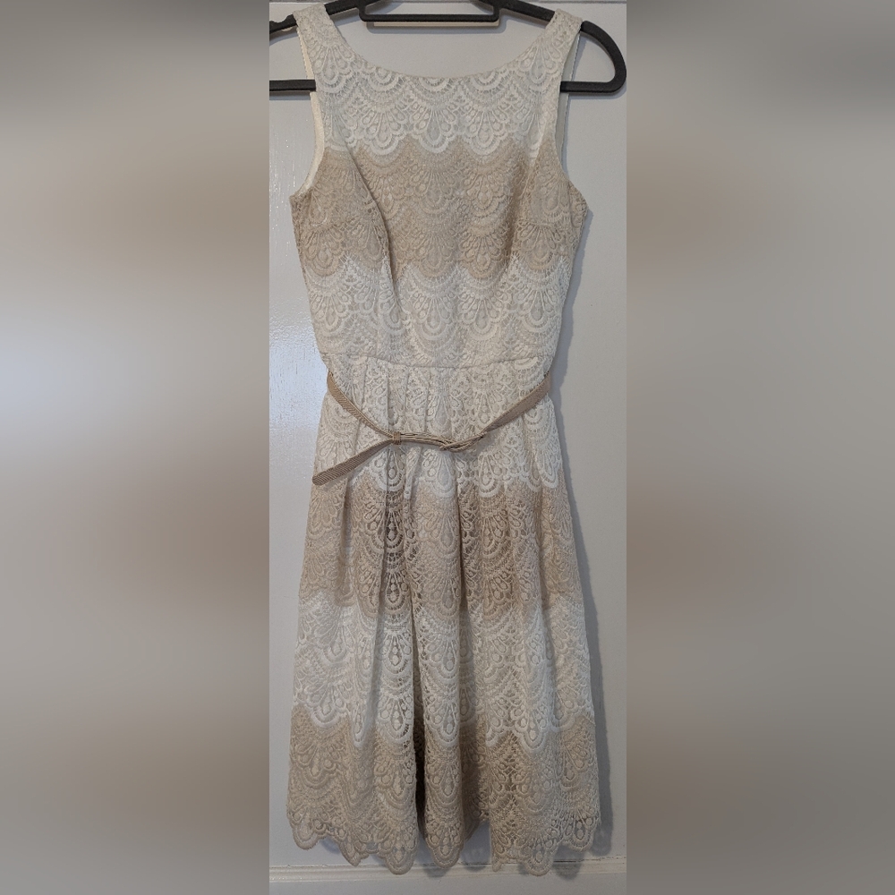White House Black Market Elegant Lace Dress with Belt